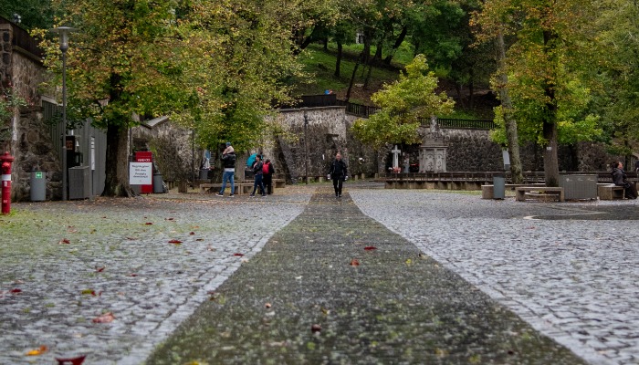 MAGYAROK NAGYASSZONYA ÉS RÓZSAFÜZÉR KIRÁLYNŐJE BÚCSÚ