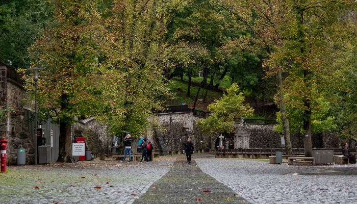 Vasárnapi hírek 2023.10.22