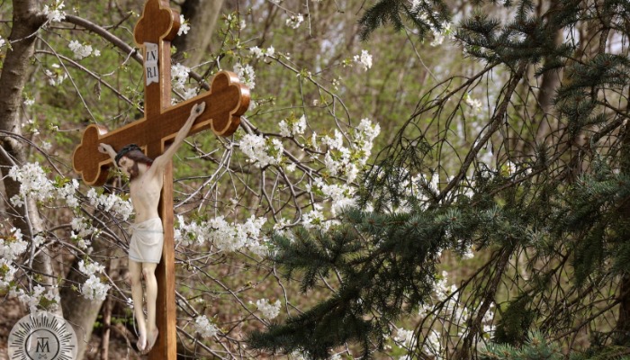 Lássuk-halljuk Jézust