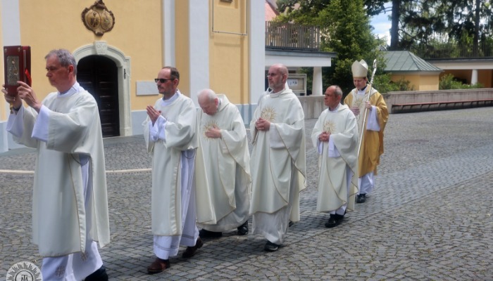 A papi hivatás