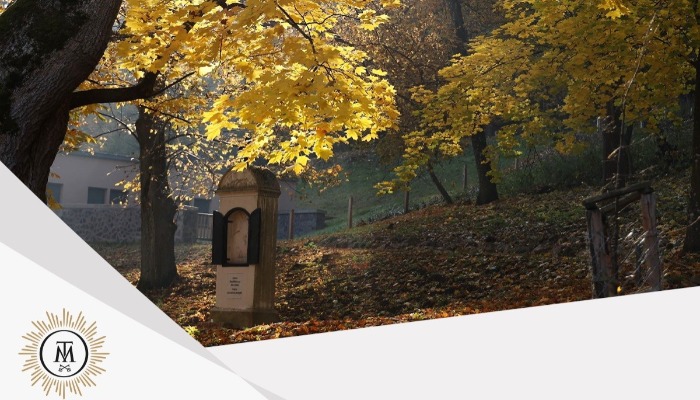 Vasárnapi hírek 2022.10.23