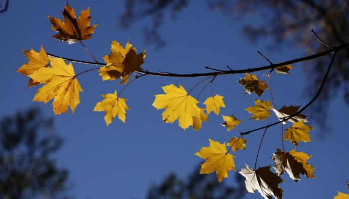 Összrégiós lelkigyakorlat