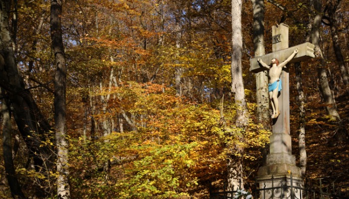 MAGYAROK NAGYASSZONYA ÉS RÓZSAFÜZÉR KIRÁLYNŐJE BÚCSÚ