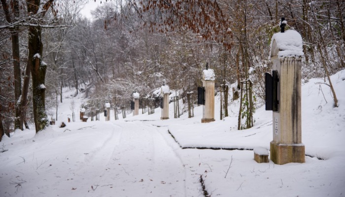 Vasárnapi hírek 2024.02.04