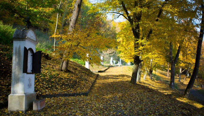 PIÓ ATYA BÚCSÚ ÉS EGYETEMISTÁK ZARÁNDOKLATA