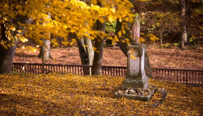 Vasárnapi hírek 2024.09.22