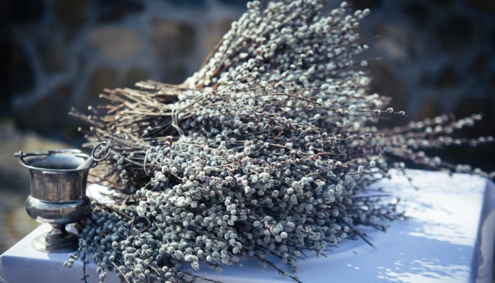 Vasárnapi hírek 2023.03.26