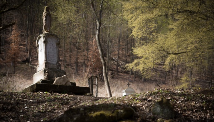 KÖZLEMÉNY A ZSOLOZSMÁRÓL 