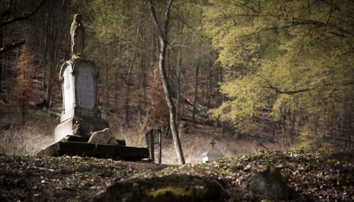 Vasárnapi hírek 2023.09.10