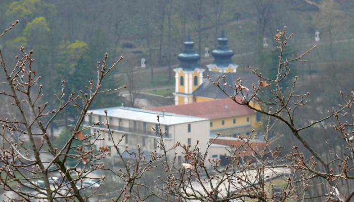 Vasárnapi hírek 2022.03.06