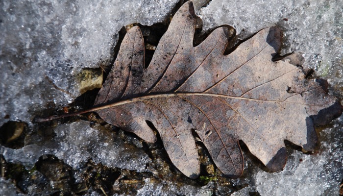 "Jézus példabeszédei" lelkigyakorlat