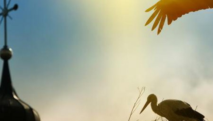 Gyermekre vágyók lelkigyakorlata (2021)